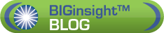 BIGresearch Blog